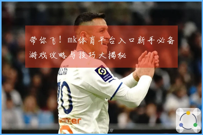 带你飞！mk体育平台入口新手必备游戏攻略与技巧大揭秘
