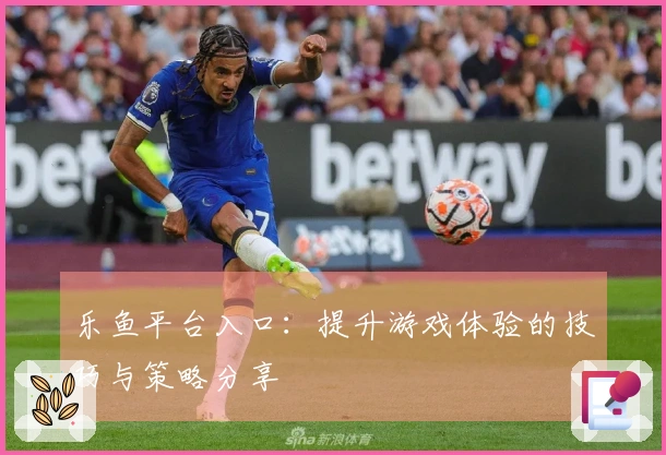乐鱼平台入口:提升游戏体验的技巧与策略分享
